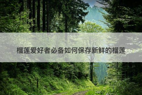 榴莲爱好者必备如何保存新鲜的榴莲