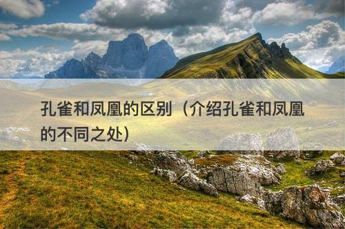 孔雀和凤凰的区别（介绍孔雀和凤凰的不同之处）