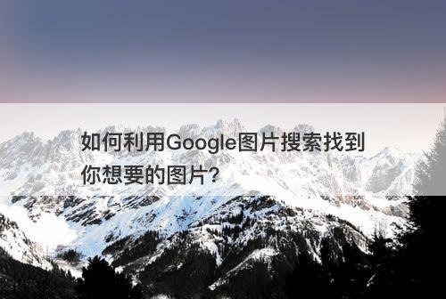 如何利用Google图片搜索找到你想要的图片？-图1