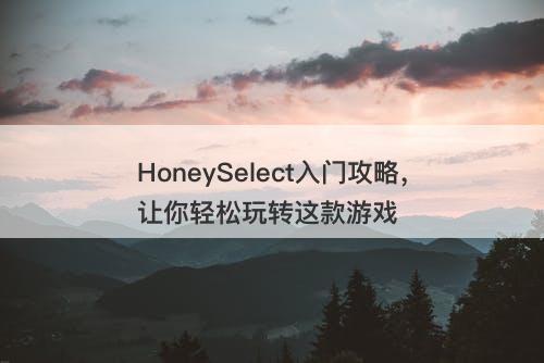 HoneySelect入门攻略，让你轻松玩转这款游戏