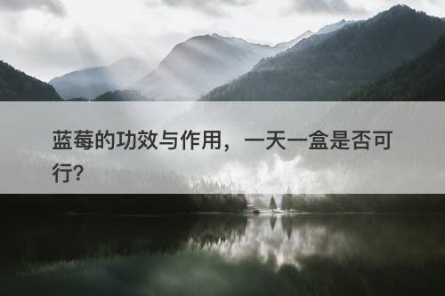 蓝莓的功效与作用，一天一盒是否可行？