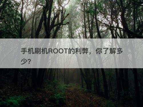 手机刷机ROOT的利弊，你了解多少？