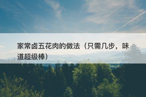 家常卤五花肉的做法（只需几步，味道超级棒）