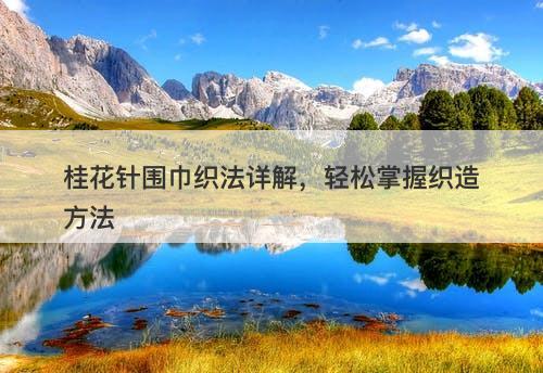 桂花针围巾织法详解，轻松掌握织造方法