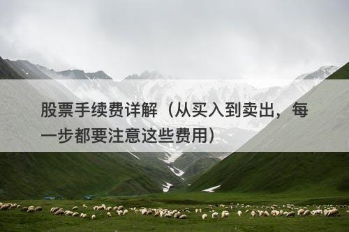 股票手续费详解（从买入到卖出，每一步都要注意这些费用）