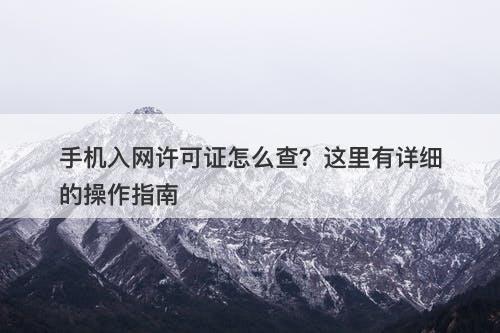 手机入网许可证怎么查？这里有详细的操作指南