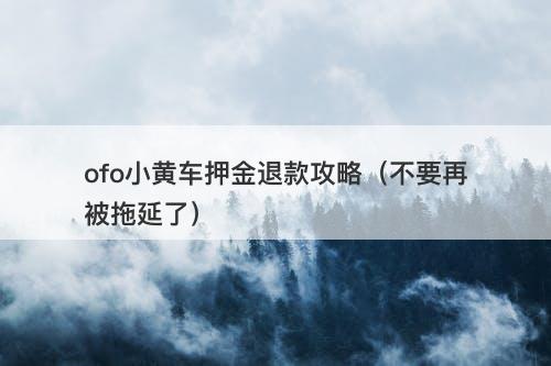 ofo小黄车押金退款攻略（不要再被拖延了）