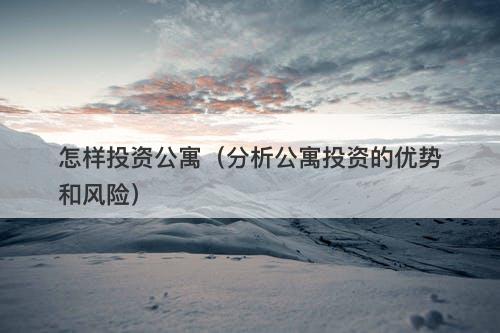 怎样投资公寓（分析公寓投资的优势和风险）