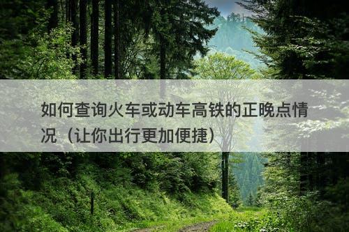 如何查询火车或动车高铁的正晚点情况（让你出行更加便捷）