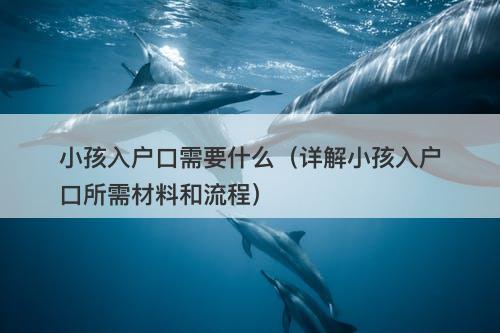 小孩入户口需要什么（详解小孩入户口所需材料和流程）