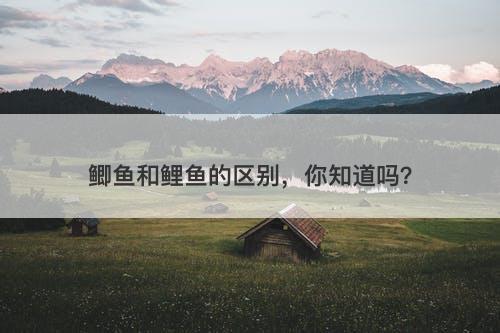 鲫鱼和鲤鱼的区别，你知道吗？