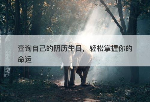 查询自己的阴历生日，轻松掌握你的命运