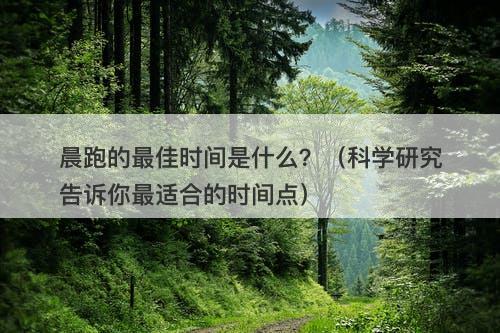 晨跑的最佳时间是什么？（科学研究告诉你最适合的时间点）
