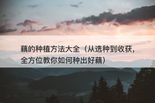 藕的种植方法大全（从选种到收获，全方位教你如何种出好藕）