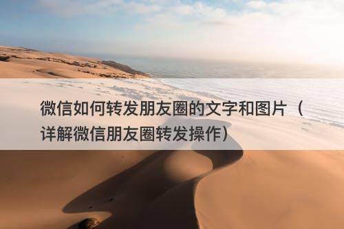 微信如何转发朋友圈的文字和图片（详解微信朋友圈转发操作）