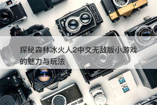 探秘森林冰火人2中文无敌版小游戏的魅力与玩法