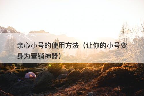 亲心小号的使用方法（让你的小号变身为营销神器）