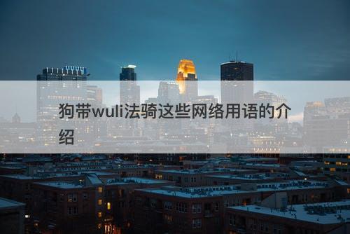 狗带wuli法骑这些网络用语的介绍