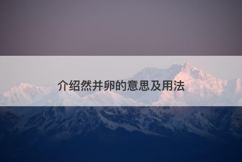 介绍然并卵的意思及用法