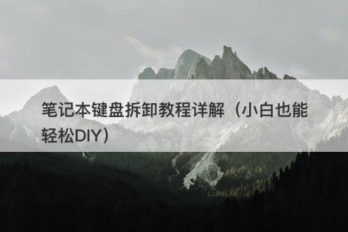 笔记本键盘拆卸教程详解（小白也能轻松DIY）