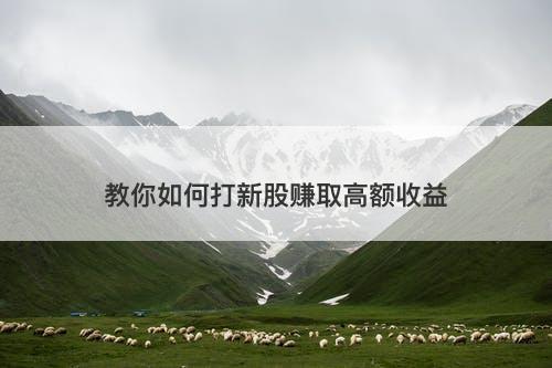 教你如何打新股赚取高额收益