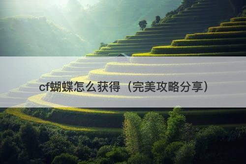cf蝴蝶怎么获得（完美攻略分享）-图1