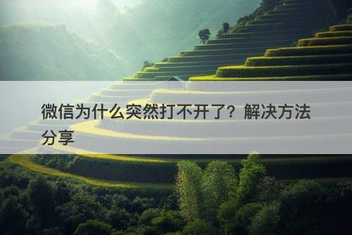 微信为什么突然打不开了？解决方法分享