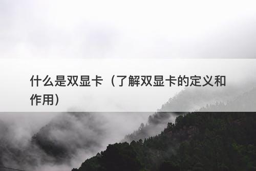 什么是双显卡(了解双显卡的定义和作用)-图1 什么是双显卡(了解双显卡的定义和作用)-图1