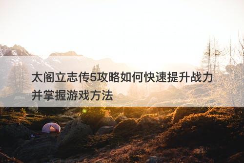 太阁立志传5攻略如何快速提升战力并掌握游戏方法-图1