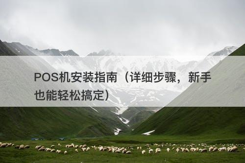POS机安装指南（详细步骤，新手也能轻松搞定）