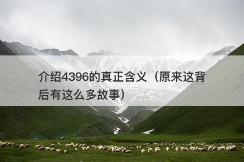介绍4396的真正含义（原来这背后有这么多故事）