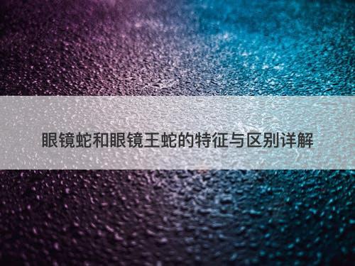眼镜蛇和眼镜王蛇的特征与区别详解
