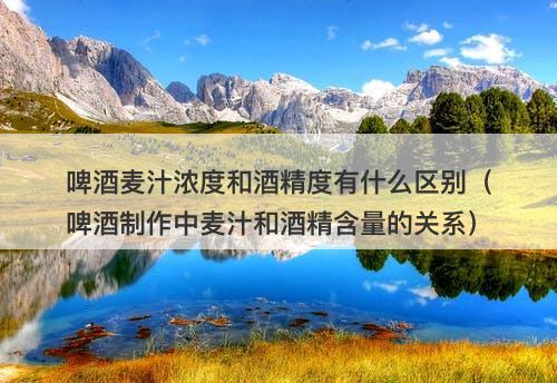 啤酒麦汁浓度和酒精度有什么区别（啤酒制作中麦汁和酒精含量的关系）