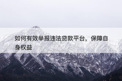 如何有效举报违法贷款平台，保障自身权益
