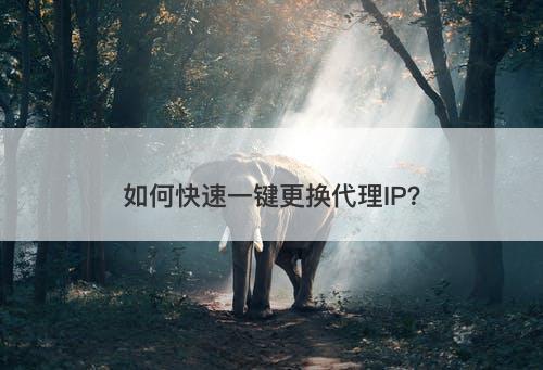 如何快速一键更换代理IP？