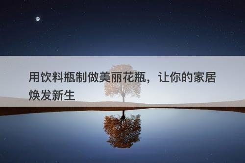 用饮料瓶制做美丽花瓶，让你的家居焕发新生