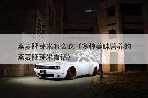燕麦胚芽米怎么吃（多种美味营养的燕麦胚芽米食谱）