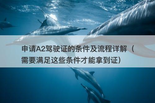申请A2驾驶证的条件及流程详解（需要满足这些条件才能拿到证）
