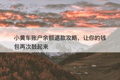 小黄车账户余额退款攻略，让你的钱包再次鼓起来