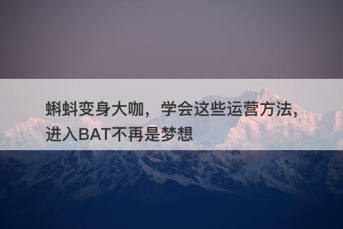蝌蚪变身大咖，学会这些运营方法，进入BAT不再是梦想