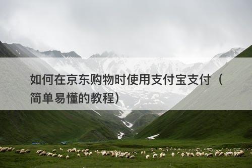 如何在京东购物时使用支付宝支付（简单易懂的教程）