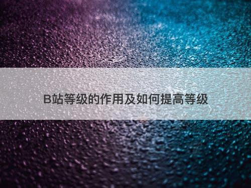 B站等级的作用及如何提高等级