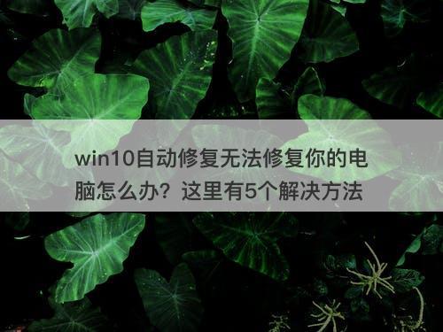 win10自动修复无法修复你的电脑怎么办？这里有5个解决方法