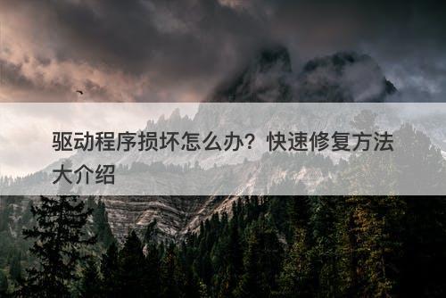 驱动程序损坏怎么办？快速修复方法大介绍