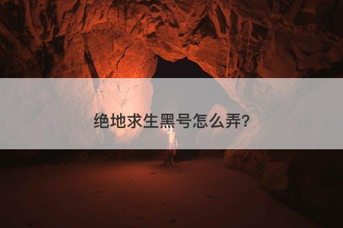 绝地求生黑号怎么弄？
