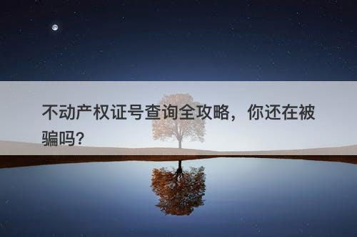 不动产权证号查询全攻略，你还在被骗吗？