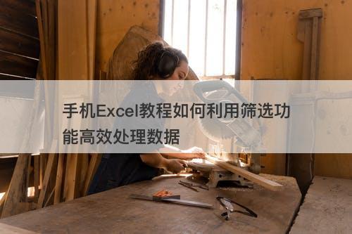 手机Excel教程如何利用筛选功能高效处理数据