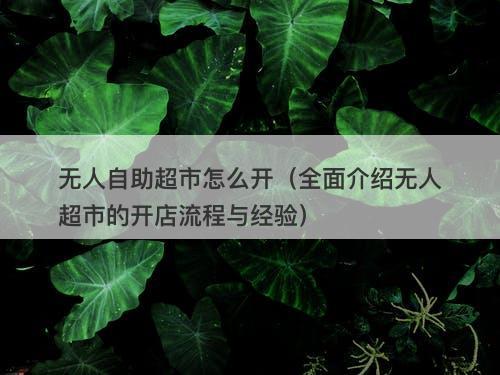 无人自助超市怎么开（全面介绍无人超市的开店流程与经验）