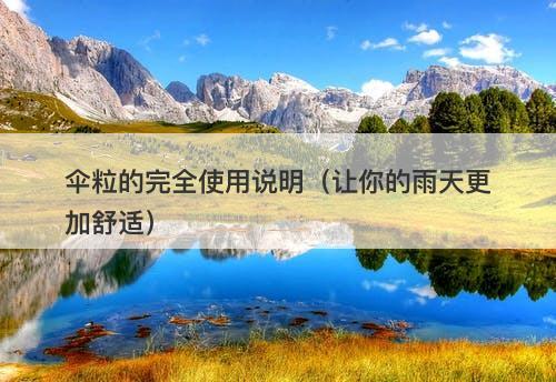 伞粒的完全使用说明（让你的雨天更加舒适）