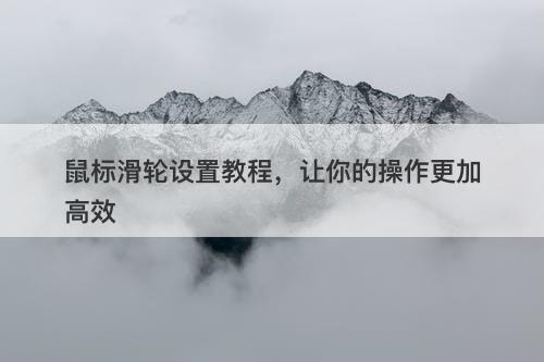 鼠标滑轮设置教程，让你的操作更加高效